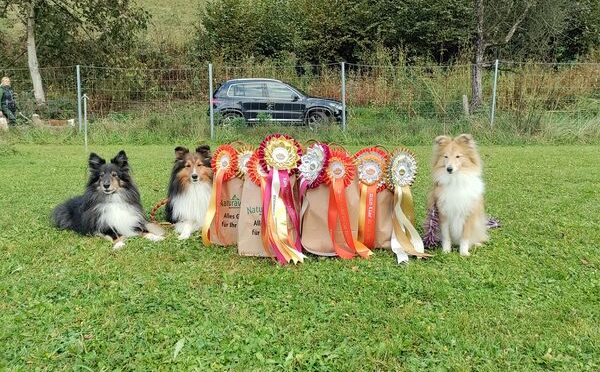Rally Obedience Landesmeisterschaft Salzburg 2023