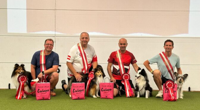 ÖKV Agility-Staatsmeisterschaft 2025