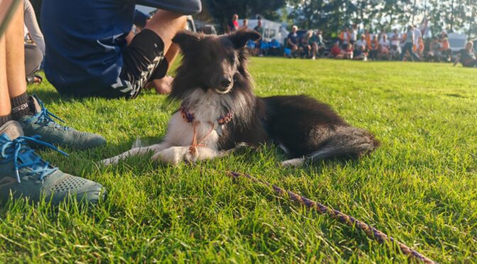 4. und 5. Alpencup 2025